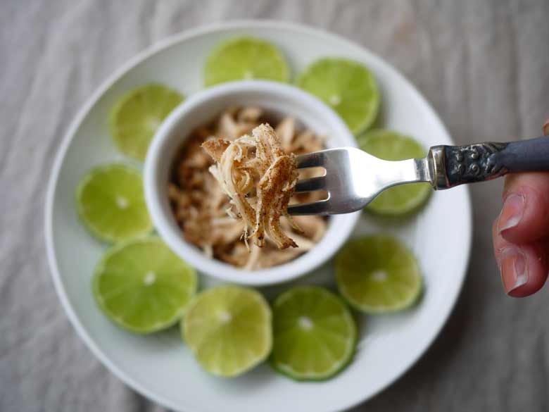 Key Lime Pie Pulled Chicken (paleo, GF, slow cooker) | Perchance to Cook, www.perchancetocook.com