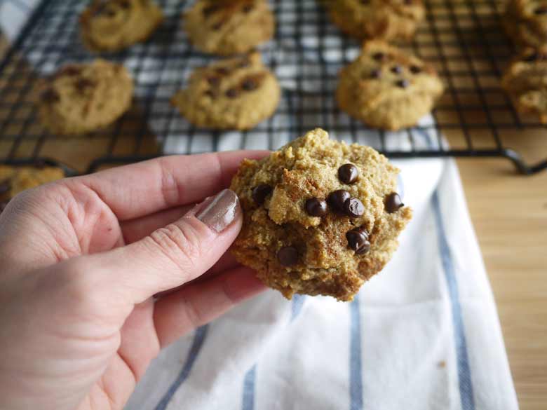 Chocolate Chip Cinnamon Cookies (paleo, GF) | Perchance to Cook, www.perchancetocook.com