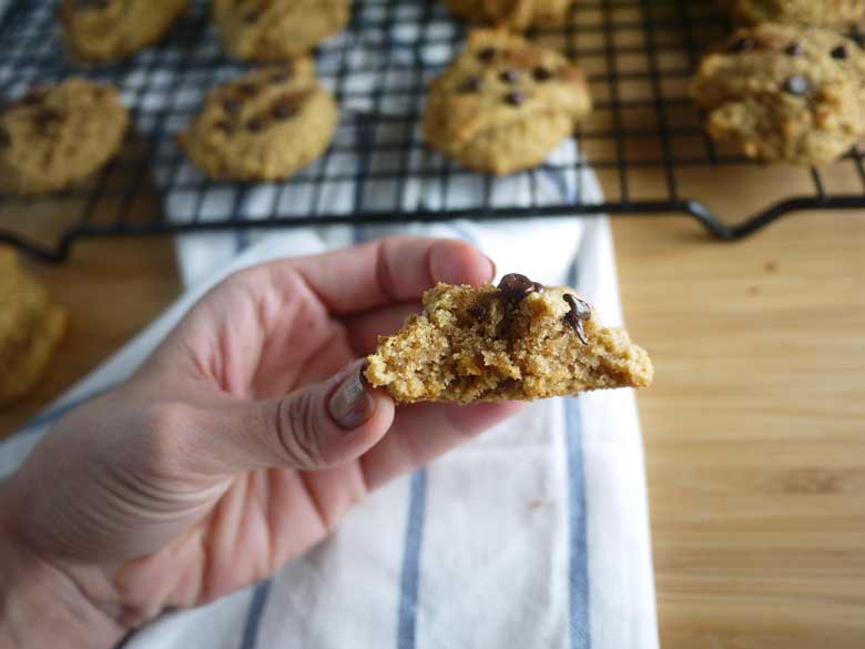 Chocolate Chip Cinnamon Cookies (paleo, GF) | Perchance to Cook, www.perchancetocook.com