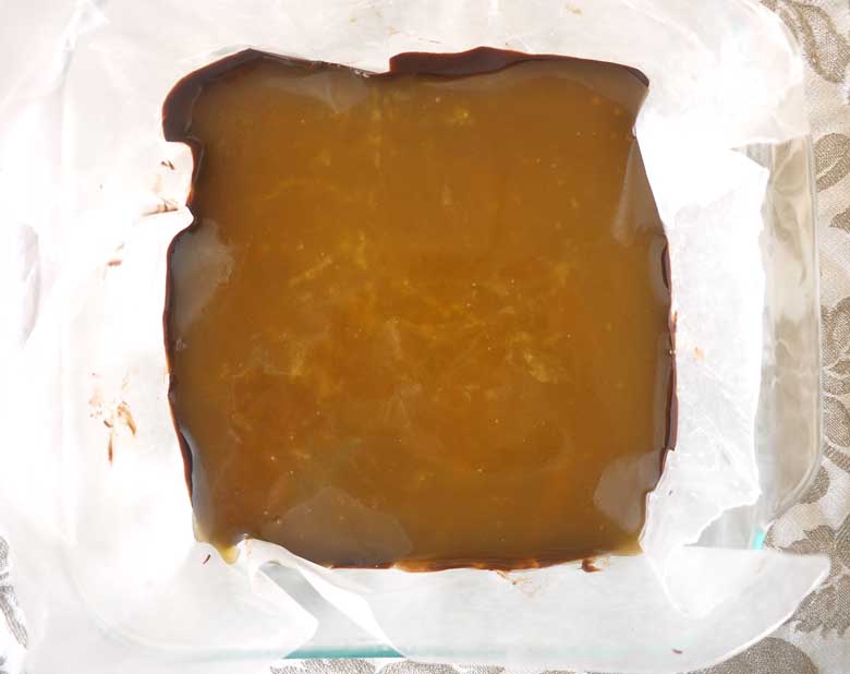 Salted Caramel Paleo Bark (GF, dairy-free) | Perchance to Cook, www.perchancetocook.com